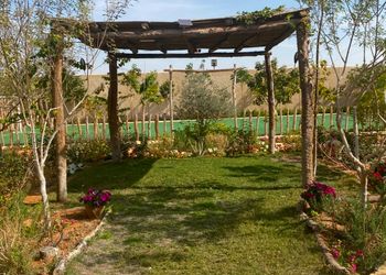 استراحة بمسطح اخضر ومجالس