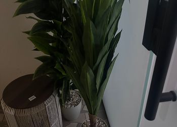 استديو هادئ بحديقة خارجية