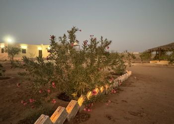 مزرعة بأجواء ريفية  وجلسة خارجية 