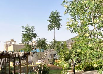 استراحة بمسبح خارجي ومسطح اخضر