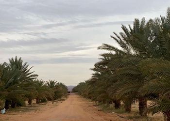 استراحة بصالة جلوس وغرفتين نوم 