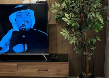 شقة بغرفة نوم وصالة 