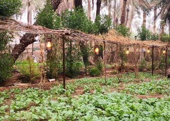 مزرعة بمسطحات خضراء وجلسة خارجية
