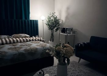 استديو بأثاث مريح وبسيط 