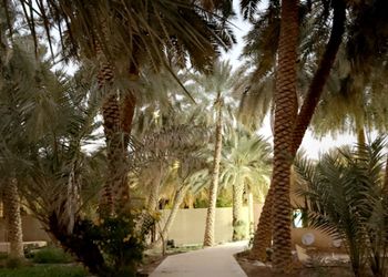 مزرعة بفيلا تراثية مودرن و إسطبل