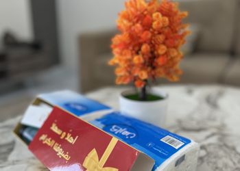 استراحة بجلسة خارجية ومجلس 