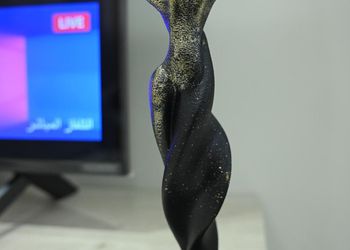 شقة بغرفة نوم وصالة