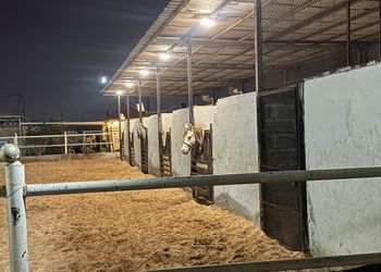 استراحة باسطبل خيل وصالة جلوس