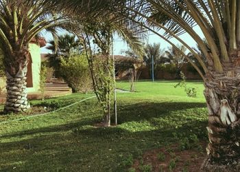 استراحة بمسبح داخلي  و مسطح اخضر