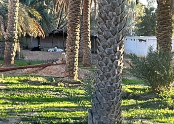 مزرعة بجلسة خارجية وأجواء ممتعة