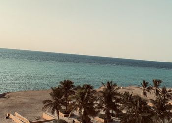شقة بأطلالة على البحر 