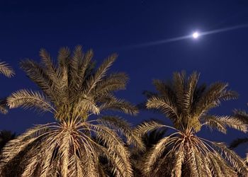 غرفة نوم واحدة مع دورة مياه