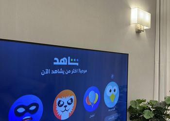 شقة بغرفة نوم وغرفة معيشة