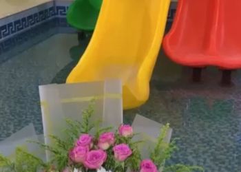 شاليه بمسطح اخضر