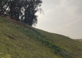 مزرعة بأجواء جميلة ومجالس واسعة