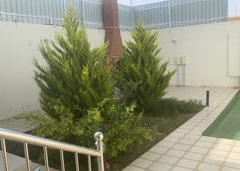 استراحة بمسطح اخضر ومجلس
