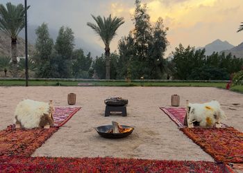 مزرعة ببيت شعر وجلسات خارجية