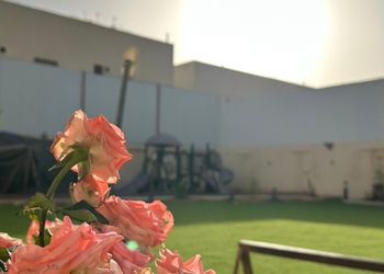 شقة بثلاث غرف نوم وصالة