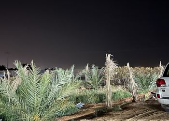 استراحة بمجلس وفناء خارجي 