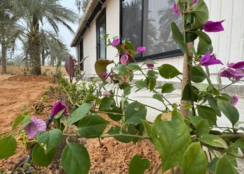 مزرعة بمناظر خلابة وجلسات خارجية 