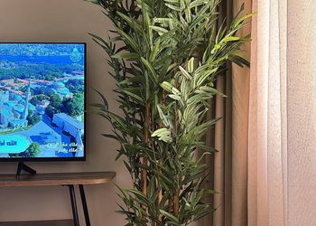 شقة بصالة مريحة ودخول ذاتي 
