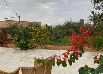 مزرعة بجلسة ارضية والعاب اطفال