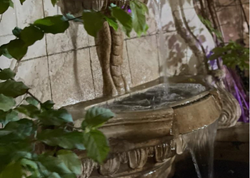شاليه بمسطح اخضر وجلسات