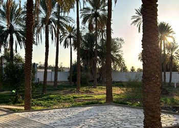مزرعة بجلسة خارجية وأجواء ممتعة