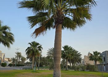 شاليه باطلاله على البحر