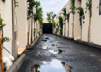 استديو مع حوش خاص بأثاث حديث