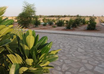 مزرعة بجلسه خارجيه باطلاله 