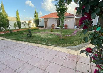 استراحة ومسطح اخضر 