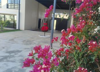 شالية بمجلس مطل على الفناء الخارجي 