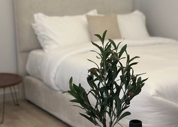 استديو هادئ بسرير ماستر