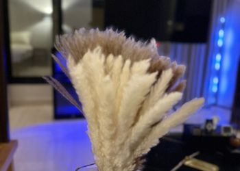 استديو هادئ بدخول ذاتي