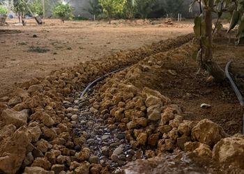 مزرعة باطلالة على الحديقة