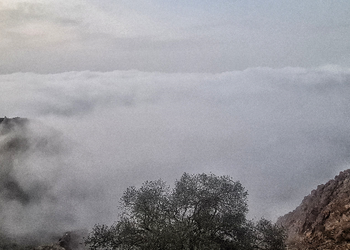   شاليه بإطلالة على الجبل 