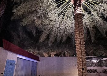 شاليه بمسطحات خضراء 