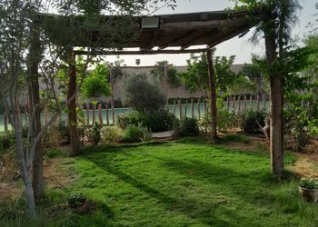 استراحة بمسطح اخضر ومجالس