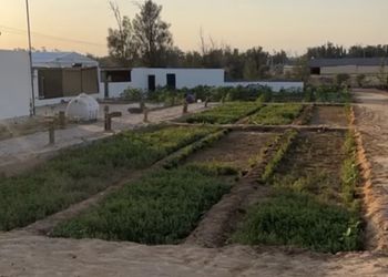 مزرعة بمجالس واسعة وأجواء ممتعة