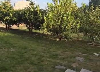 شقة بصالة مريحة وغرفة نوم
