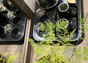 استديو استديو بسرير ماستر 