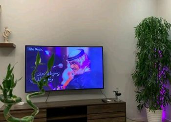 شقة بغرفة نوم وصالة 