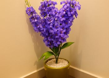 استديو أنيق بدخول ذاتي