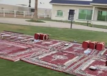 استراحة بمجالس ومسطحات خضراء