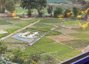 شالية بتصميم ديكور عصري وأنيق