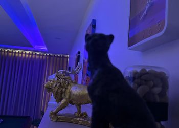 استديو بطاولة بلياردو وجلسة