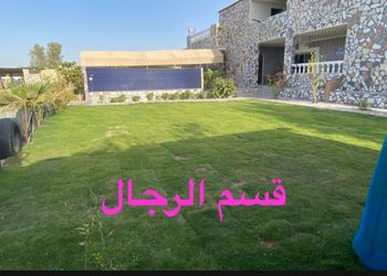 استراحة بمسطح  أخضر