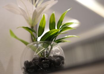 استديو بأثاث مريح وبسيط 