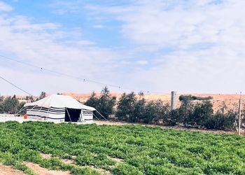 مزرعة بمسطح اخضر وجلسة